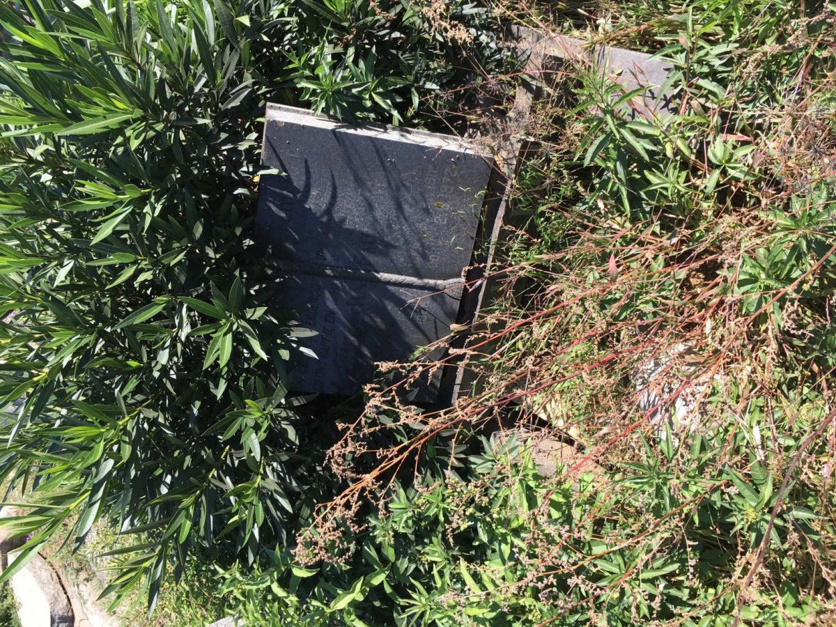 NIEKERK Joachim Jan, van -1966 &amp; Emily Mary Amelda 1912-1972