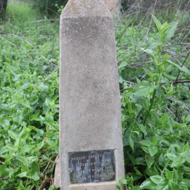 PLOOY Roelof Jacobus, du 1887-191?