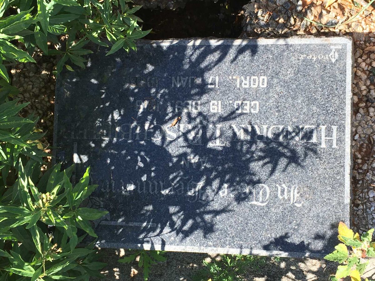 RISCHBIETER Hendrik T. 1919-1966