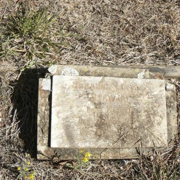 STEWART Johanna Louisa nee KLEMP 1885-1927