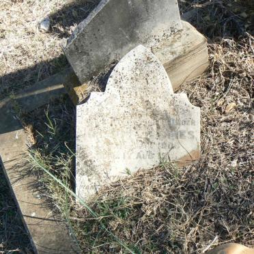 SPIES Johannes J. 1905-1921