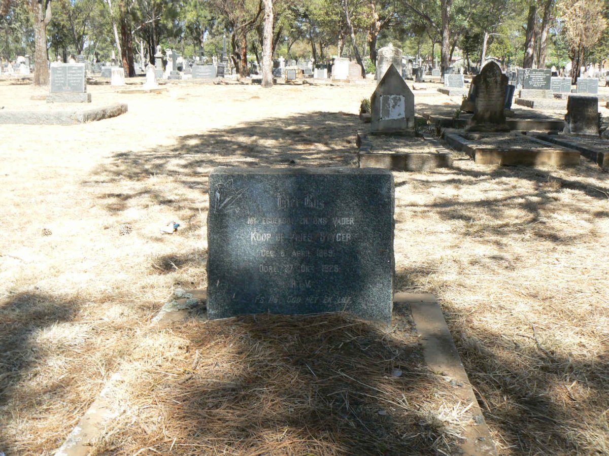 STYGER Koop de Vries 1869-1926