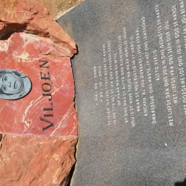 VILJOEN Anchen 2009-2013