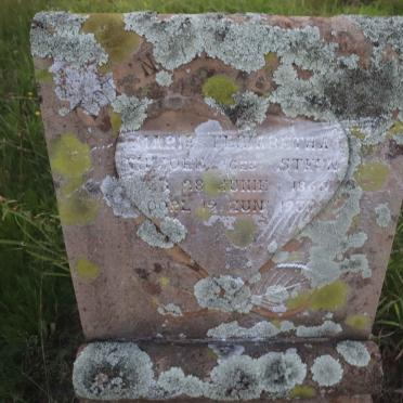 VILJOEN Maria Elizabetha nee STEYN 1865-1933