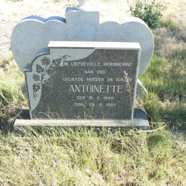 ZYL Antoinette, van 1949-1993