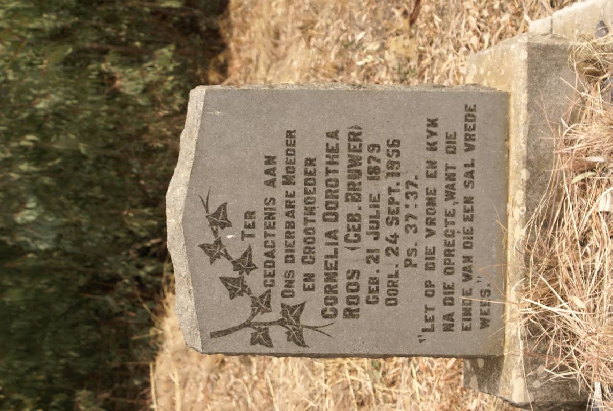 ROOS Cornelia Dorothea nee BRUWER 1879-1956