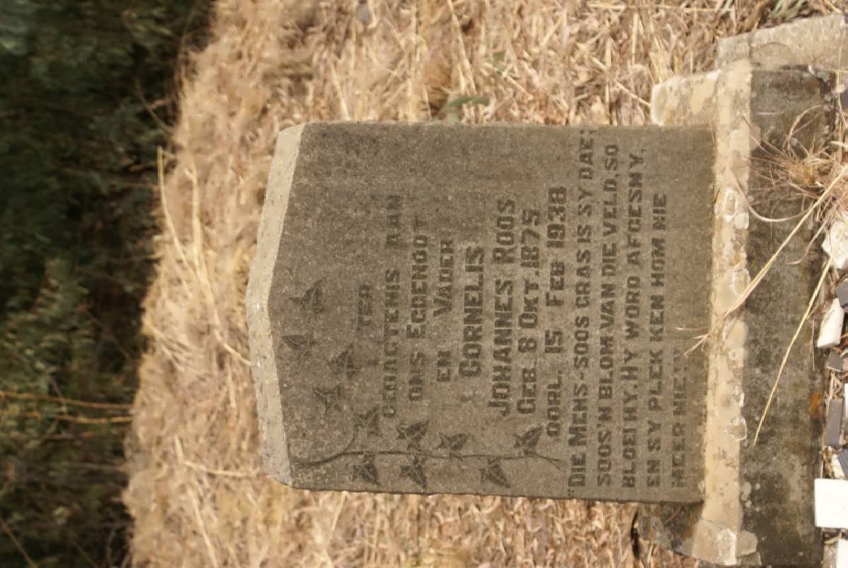 ROOS Cornelis Johannes 1875-1938