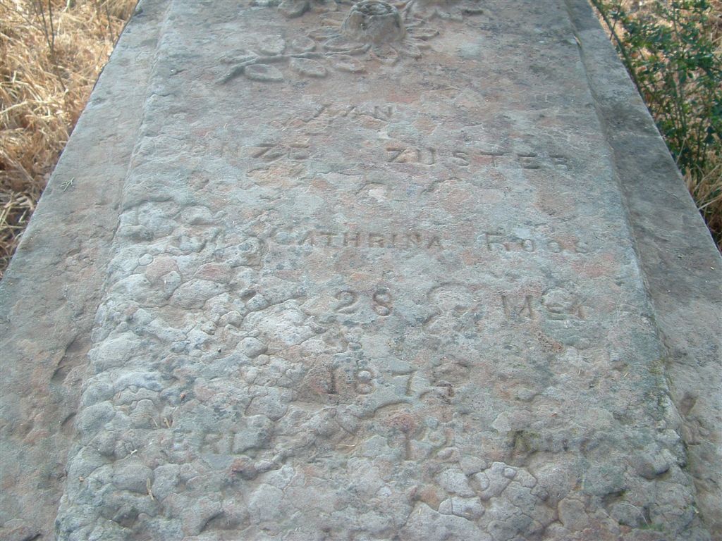 ROOS Catharina 1875-