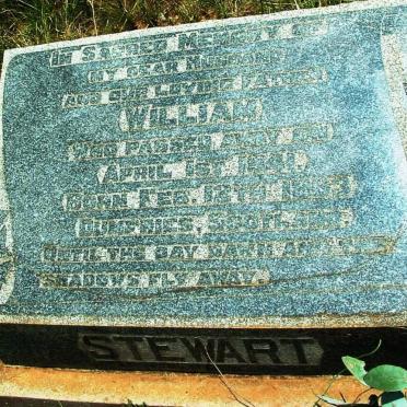 STEWART William 1863-1941