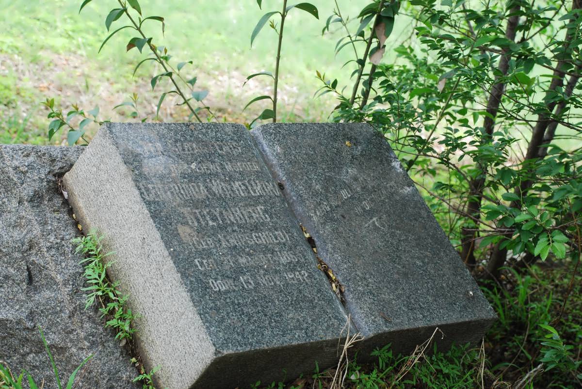 STEYNBERG Gertruida Wilhelmina nee KNIPSCHILD 1865-1942