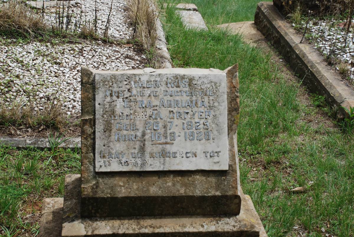 DREYER Petra Adriana Johanna 1928-1928