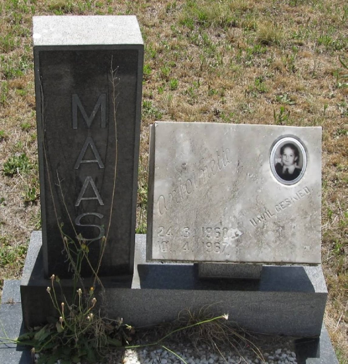 MAAS Antoinette 1960-1967