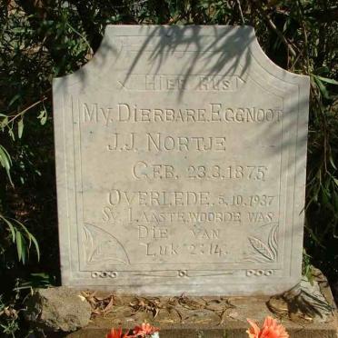 N.  Surnames starting with the letter N