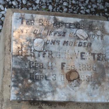 VENTER Hester J.H. 1886-1931