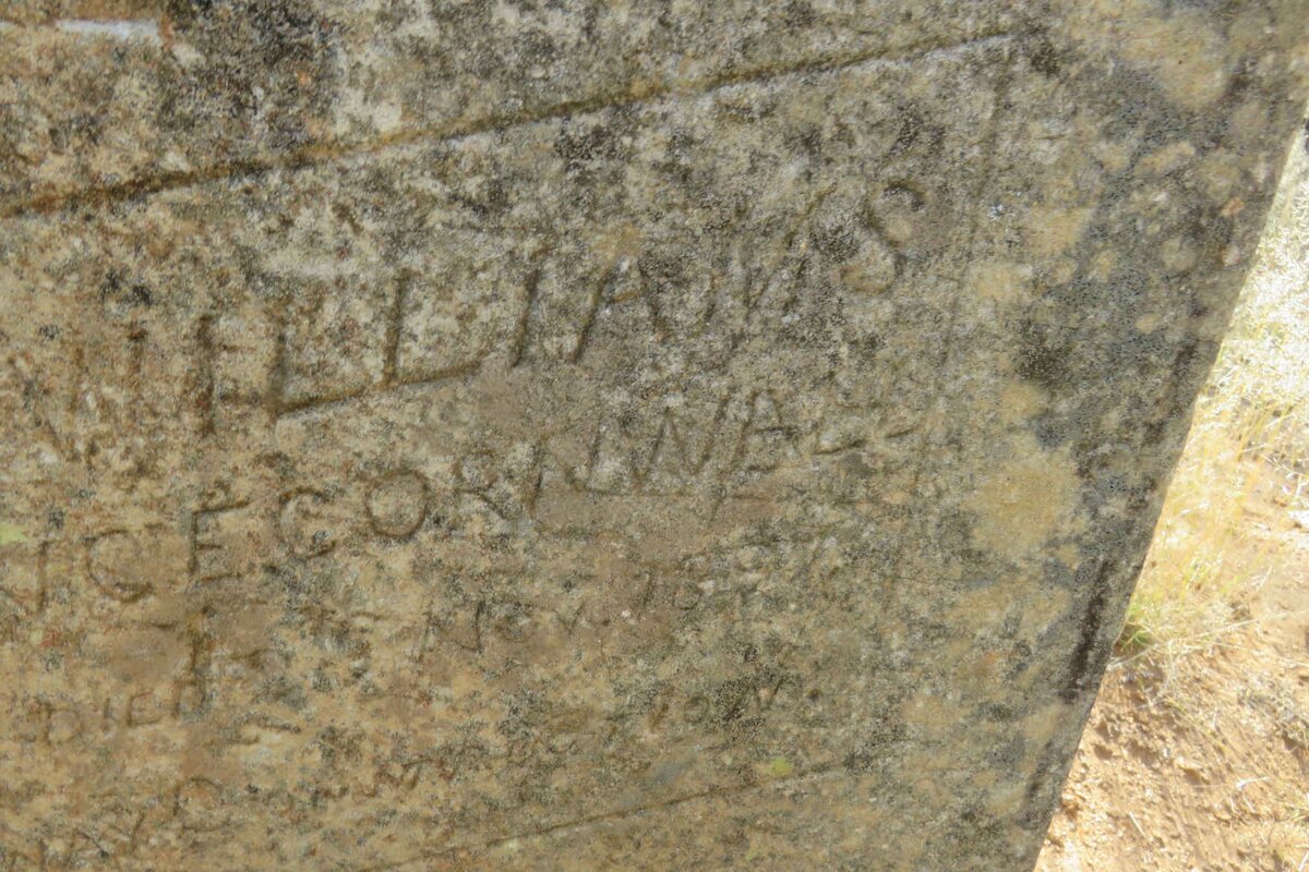 WILLIAMS James -1897