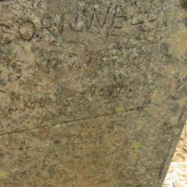 WILLIAMS James -1897