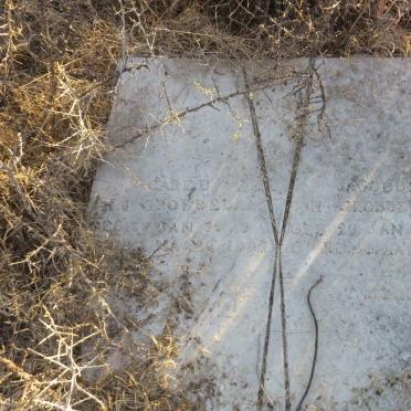 GROBBELAAR Carel H.J. 1907-1907 :: GROBBELAAR Jacobus H. 1907-1907