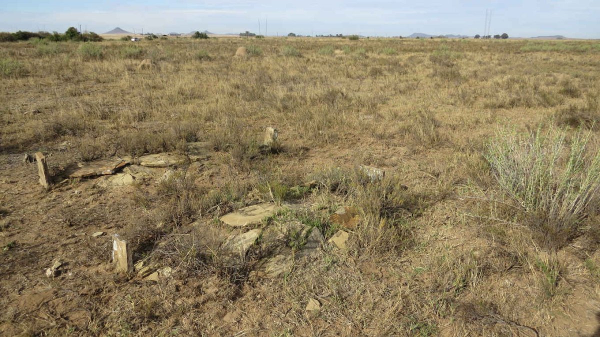 1. Overview / Oorsig