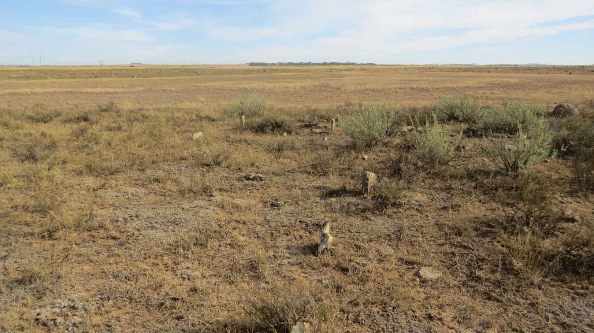 2. Overview / Oorsig