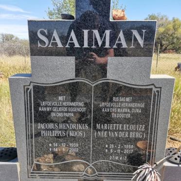 Free State, BOSHOF district, Boshof, Rietkuil 269, farm cemetery