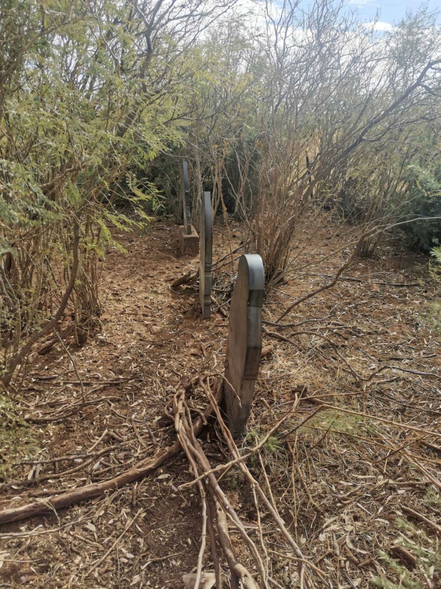 1. Overview / Oorsig