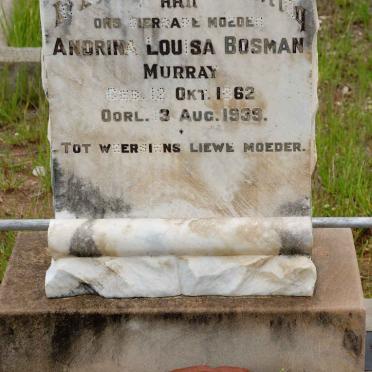 BOSMAN Andrina Louisa nee MURRAY 1862-1939