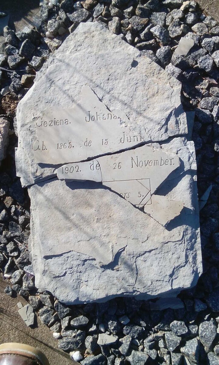 BOTHA Geziena Johana 1865-1902