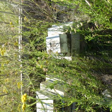 COWIE Isola Blanche -1879