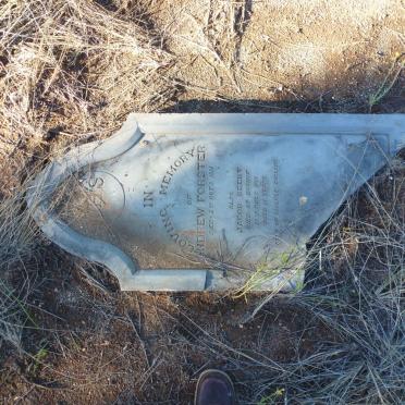 FORSTER Andrew -1881 :: BEEBY Jacob -1881