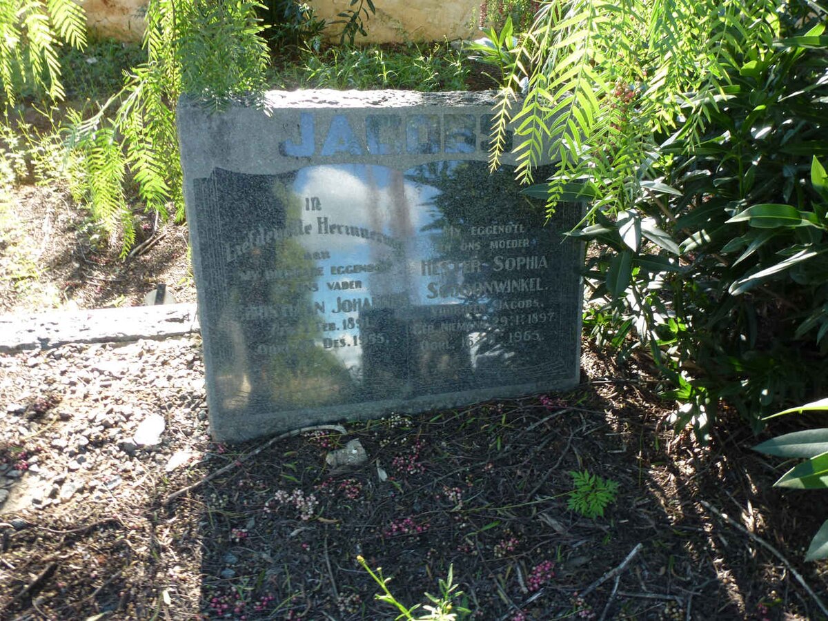 JACOBS Christiaan Johannes 1891-1955 &amp; Hester Sophia SCHOONWINKEL voorheen JACOBS nee NIEMANN 1897-1965