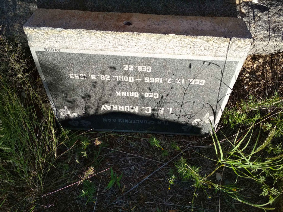 MURRAY I.E.C. nee BRINK 1866-1953