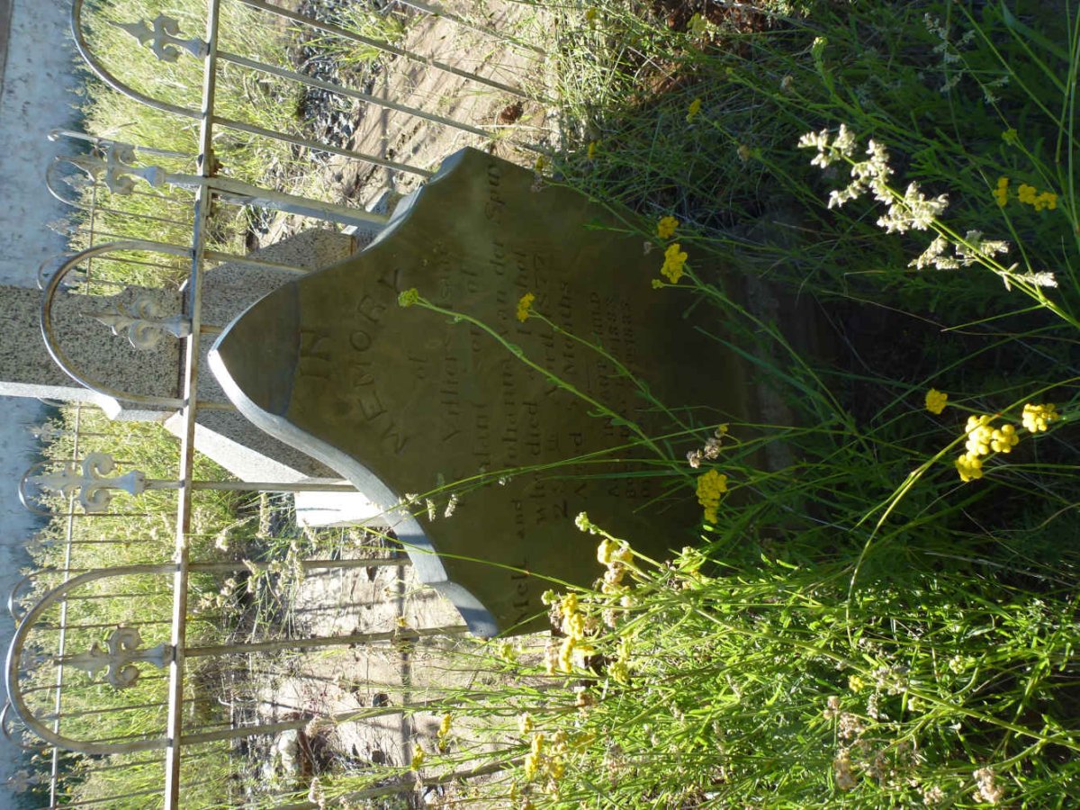 SPUY De Villiers Isaac, van der -1877 :: VAN DER SPUY ?