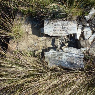 SMIT Willem J. 1864-1927