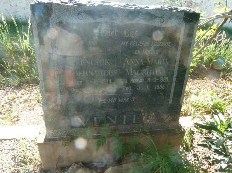 VENTER Hendrik Bernardus 1884-19?? &amp; Anna Maria Magritha NORVAL 1890-1955