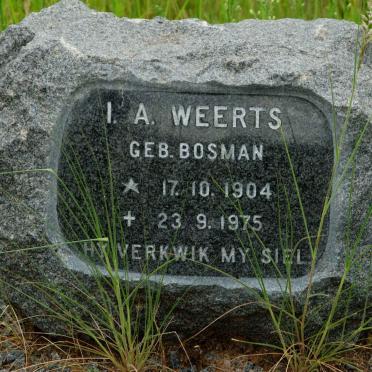 WEERTS I.A. nee BOSMAN 1904-1975