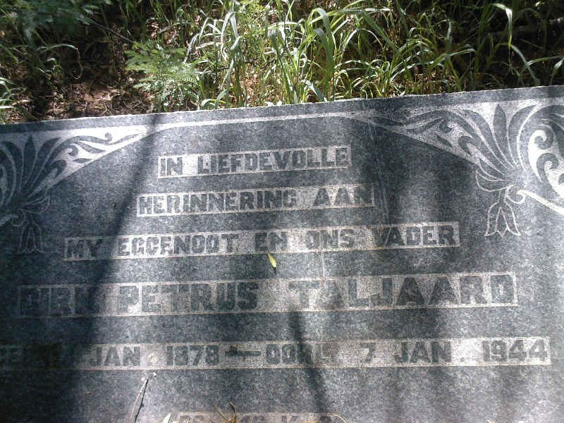 TALJAARD Dirk Petrus 1878-1944