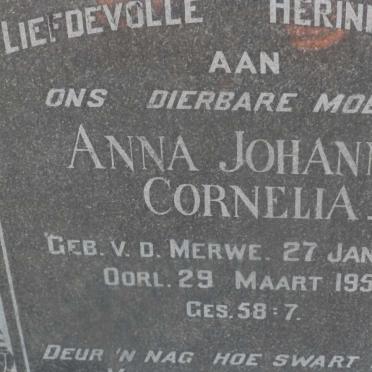 HATTINGH Johannes Michiel 1873-1952 &amp; Anna Johanna Cornelia V.D. MERWE 1882-1955