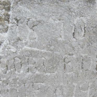 MEYER Schalk Willem Albertus, de 1870-1951