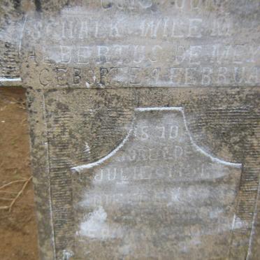 MEYER Schalk Willem Albertus, de 1870-1951