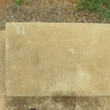 ? Johannes Jacobus Cornelis