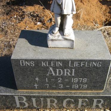 BURGER Adri 1979-1979