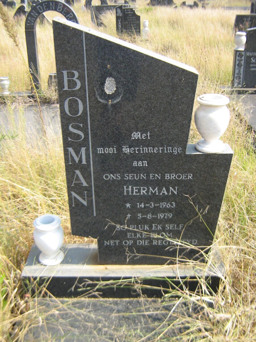 BOSMAN Herman 1963-1979