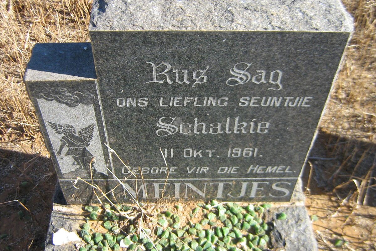 MEINTJES Schalkie 1961-1961