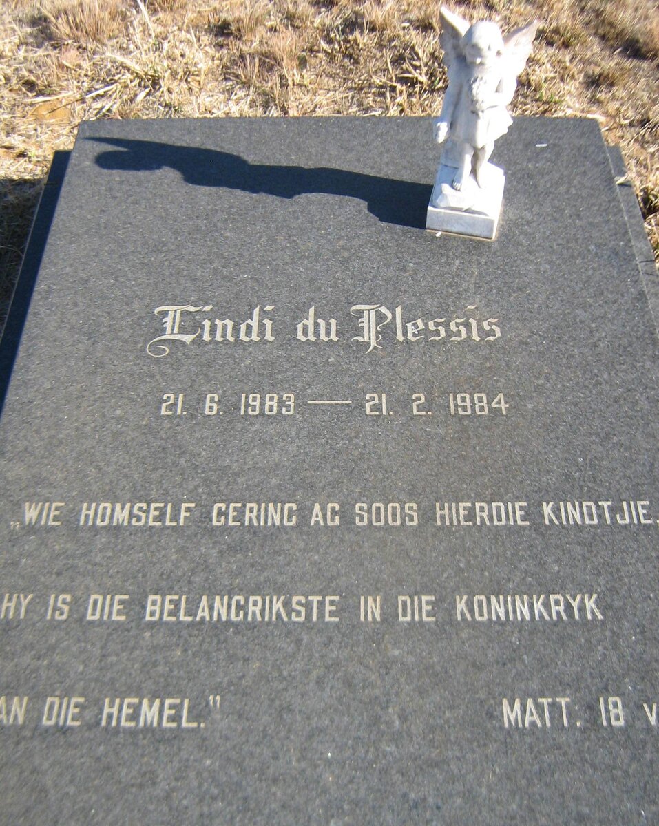 PLESSIS Lindi, du 1983-1984