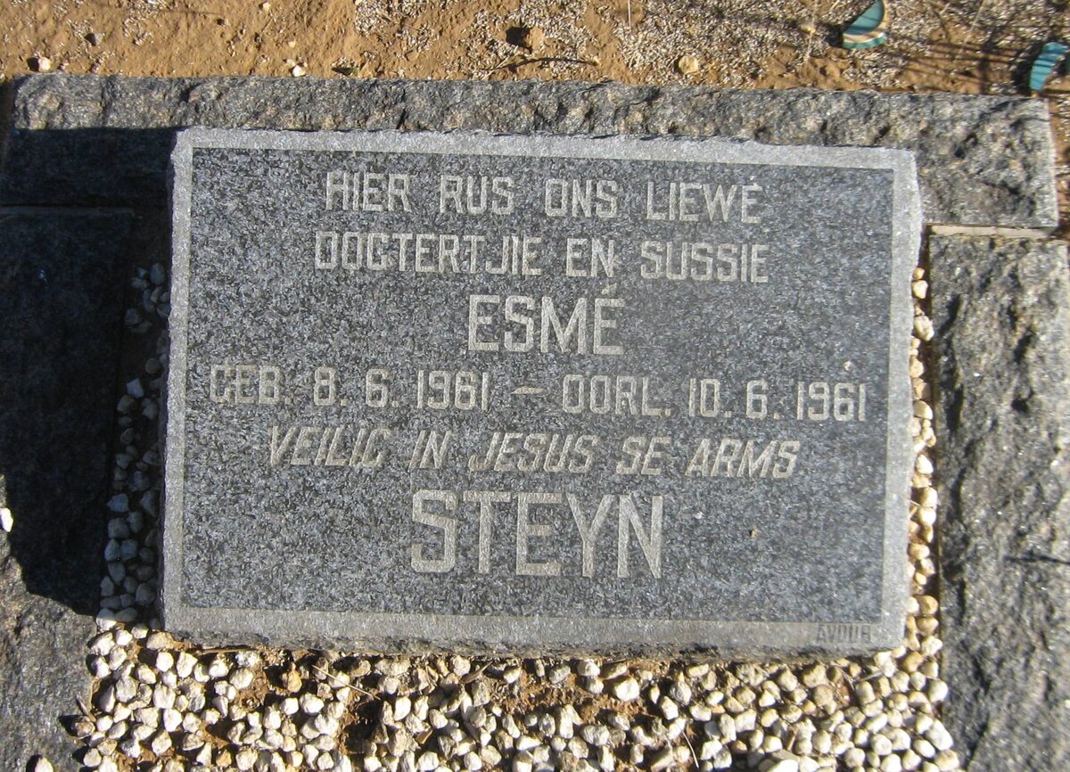 STEYN Esme 1961-1961
