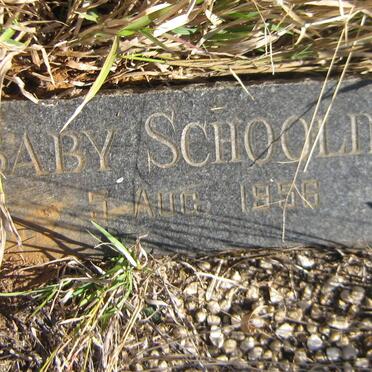 SCHOOLING 1956-1956