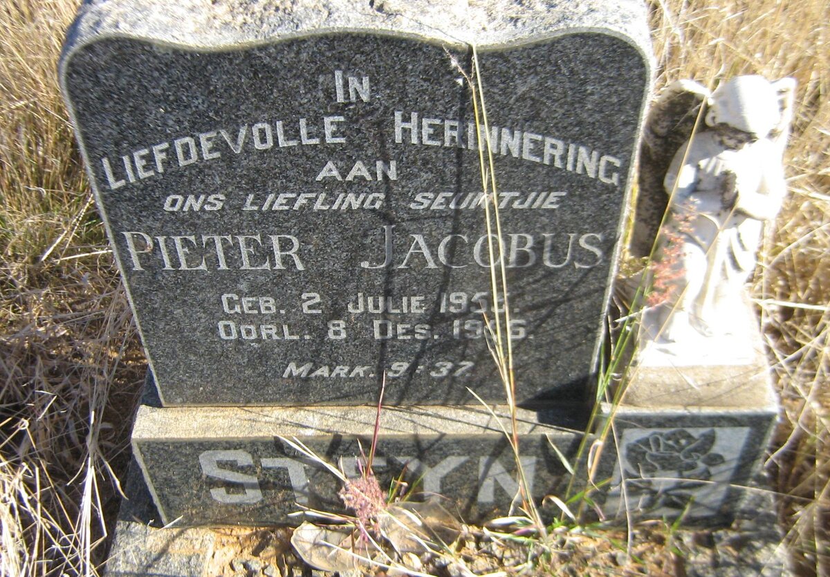 STEYN Pieter Jacobus 1955-1956