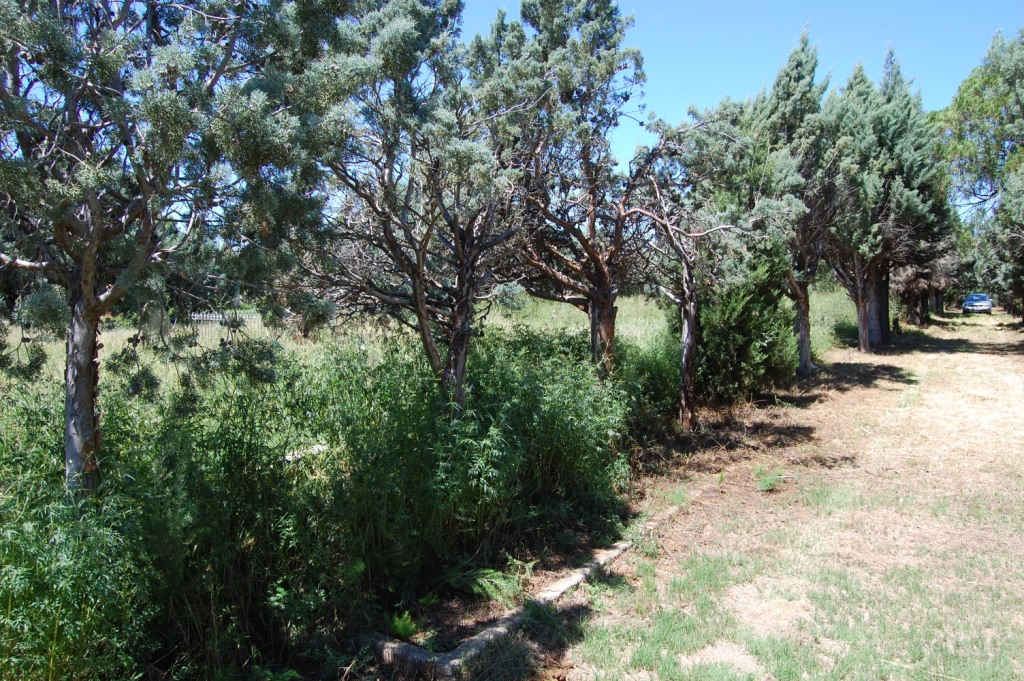 1. Entrance to Brandfort Cemetery