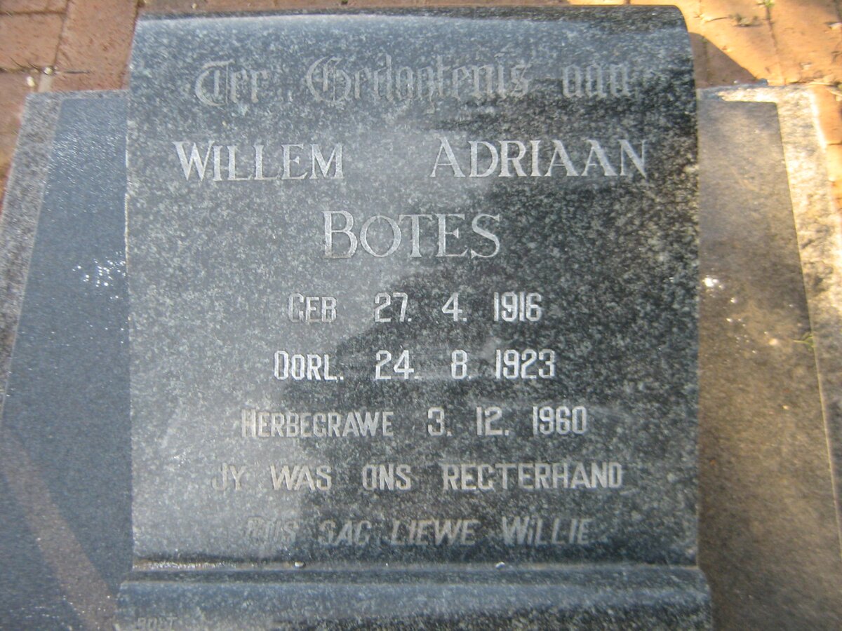 BOTES Willem Adriaan 1916-1923