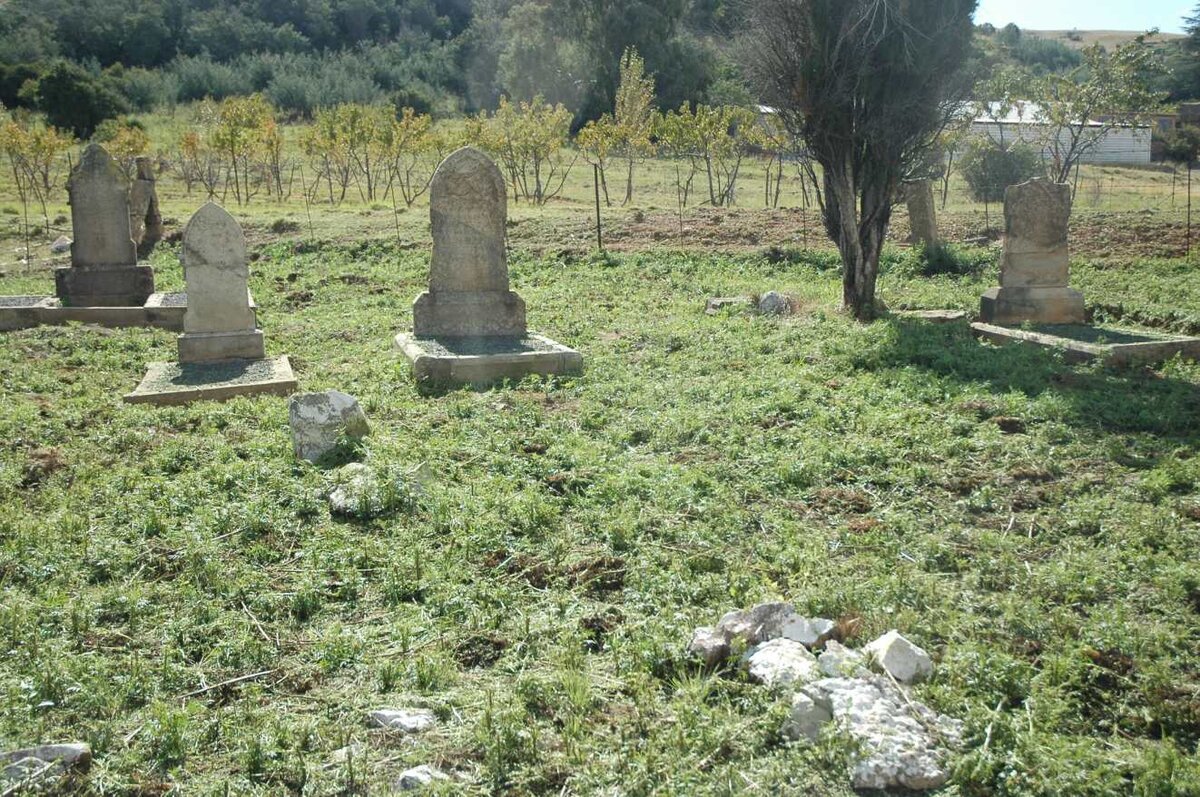 3. Overview / Oorsig